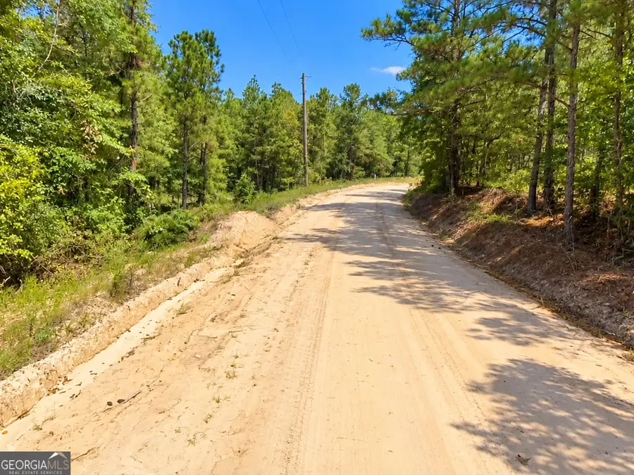 7.86 ACRES Gun Club Rd, Box Springs, GA 31801 - #2