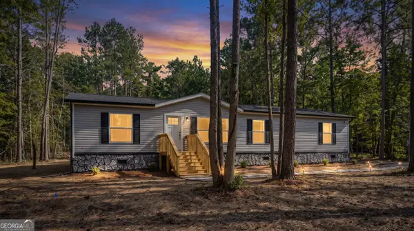 1110 Lecounte Road, Townsend, GA 31331