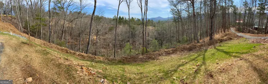 50 Mountain Laurel Ridge, Mineral Bluff, GA 30559 - #3