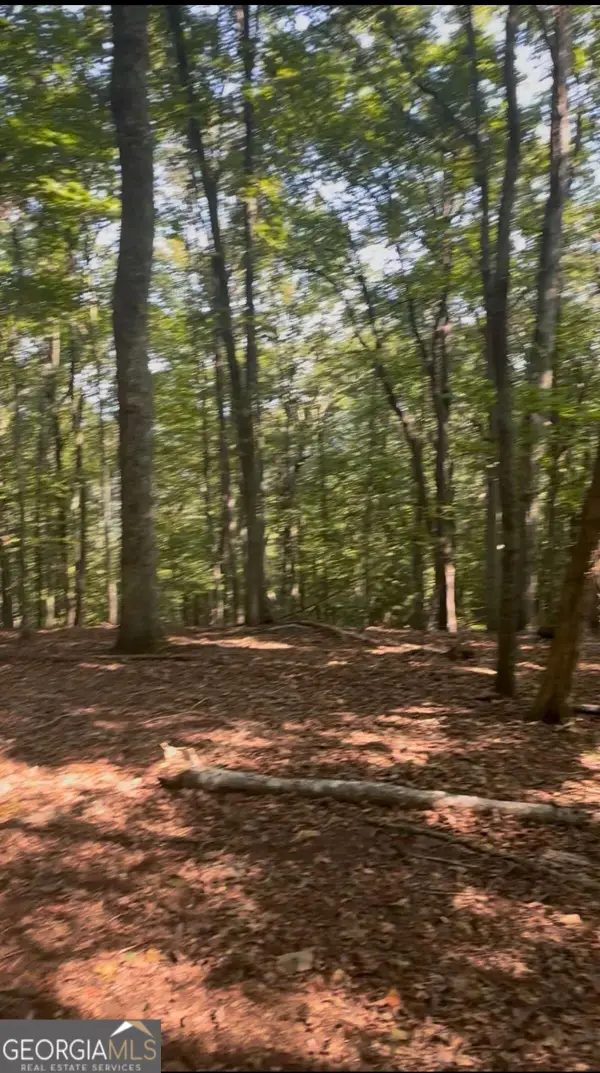 0 Brooks Ridge Road, Mineral Bluff, GA 30559