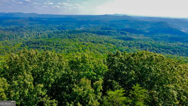 T7 Talona Mountain Road, Ellijay, GA 30536