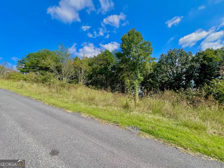 T7 Talona Mountain Road, Ellijay, GA 30536 - #2