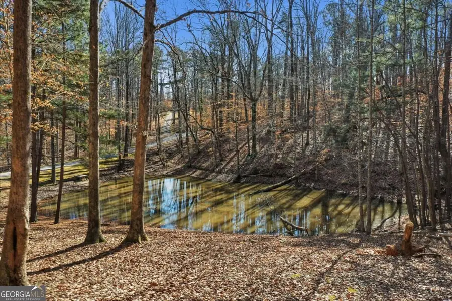 437 Twin Lakes Drive, Canton, GA 30115 - #2