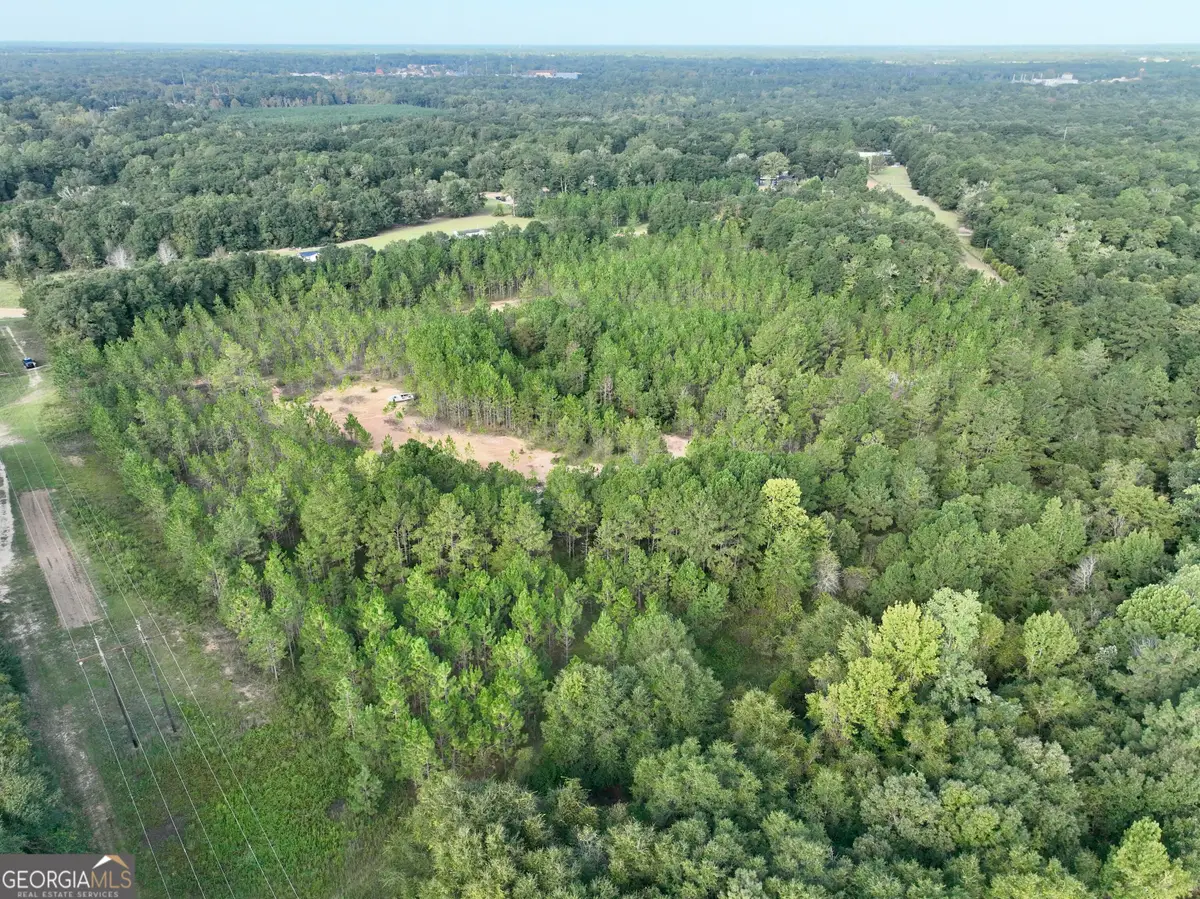 0 Carol Drive, Hawkinsville, GA 31036 - #1
