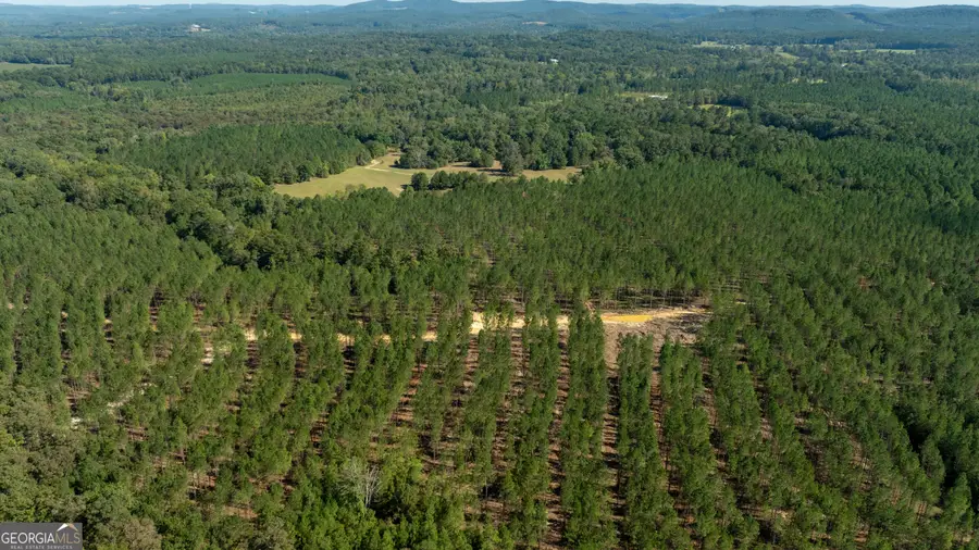 TRACTS 10,11,12 Livingston Rd Sw, Rome, GA 30161 - #2