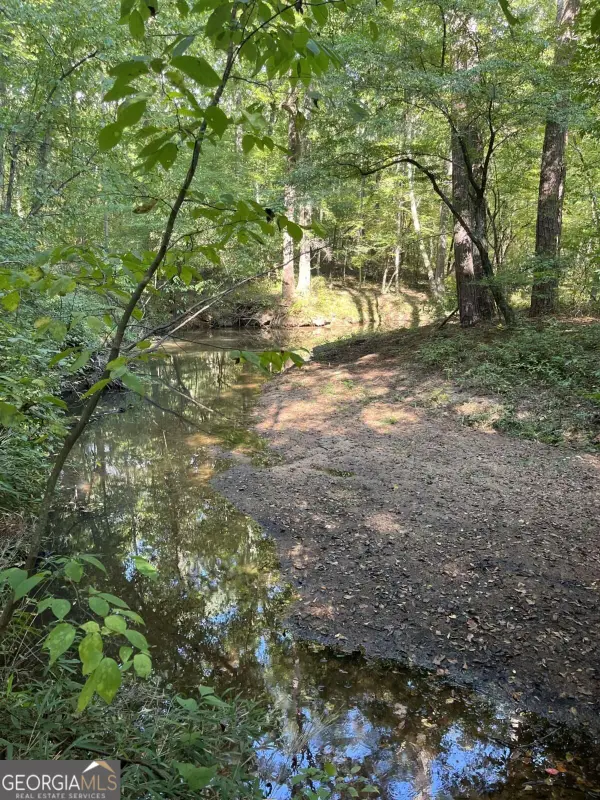 46 Creek Ridge, Winterville, GA 30683