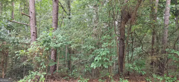 2678 Sleepy Hollow Road, Monroe, GA 30655