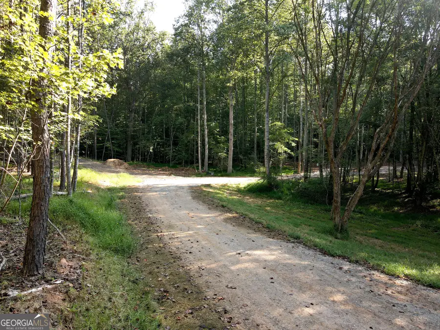 172 Boyd Hollow Drive, Blairsville, GA 30512 - #3
