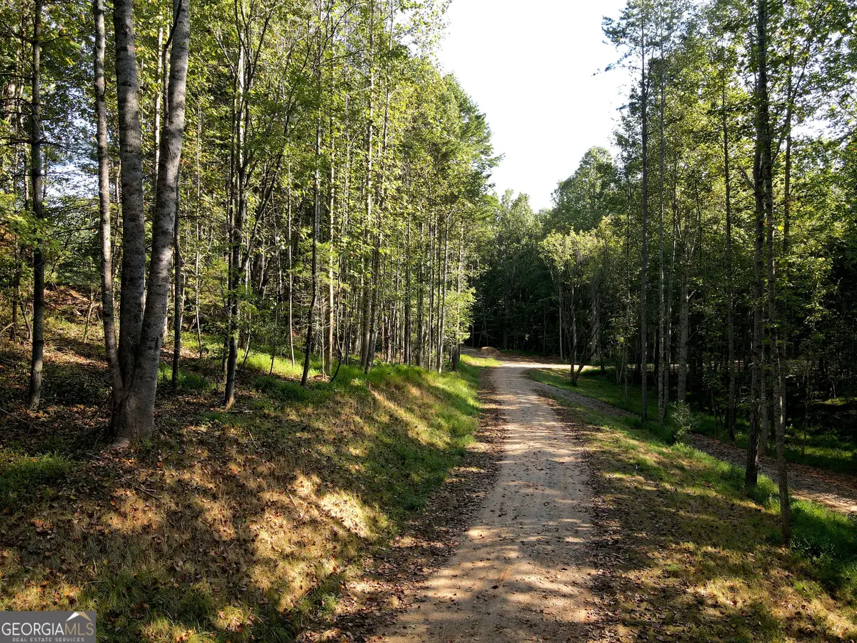 174 Boyd Hollow Drive, Blairsville, GA 30512 - #1
