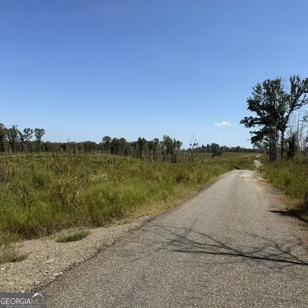 76 +/- ACRES ON Gibson Road, Talbotton, GA 31827
