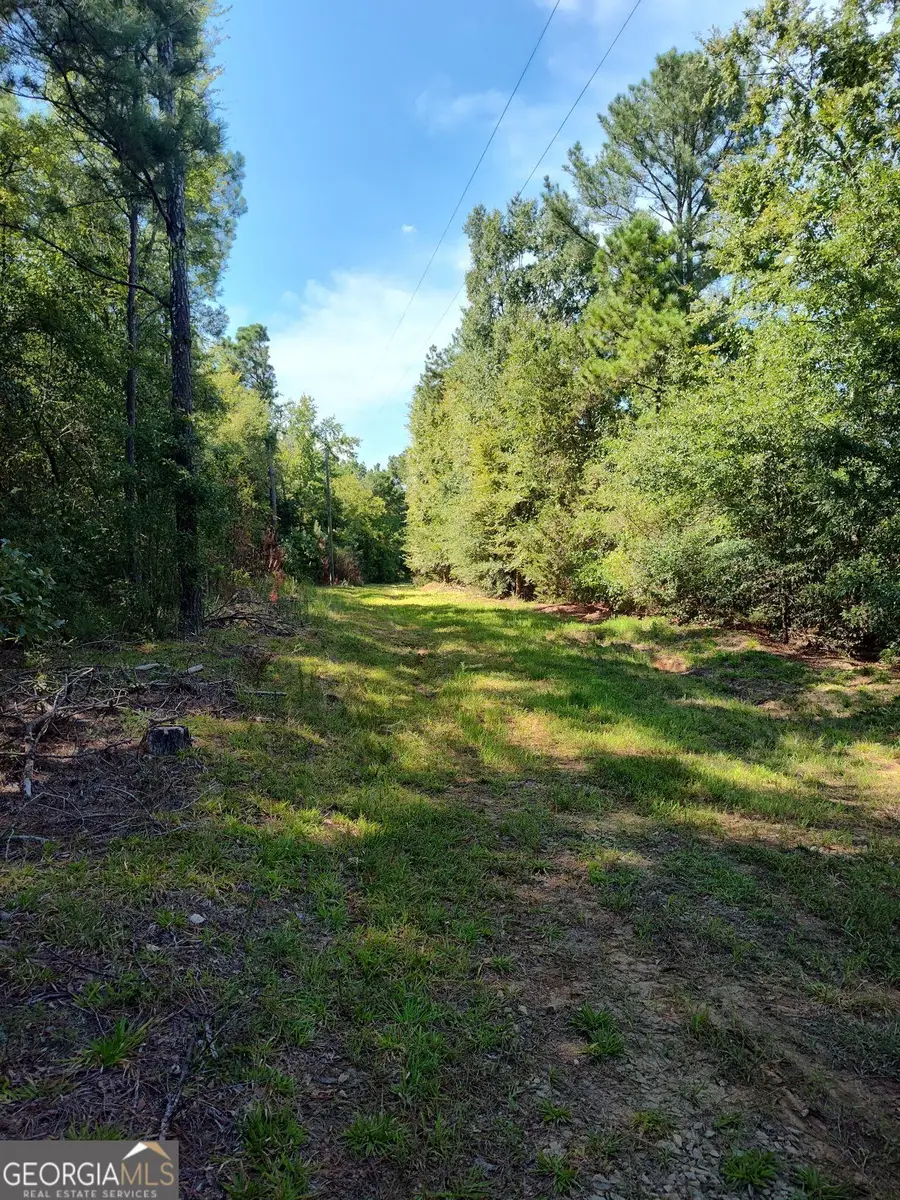 00 Calhoun Falls Highway, Elberton, GA 30635 - #3