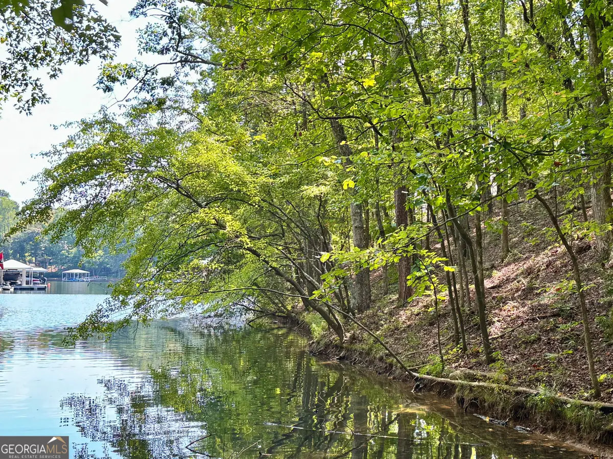 LOT 17 Red Eye Lane, Wedowee, AL 36278 - #1