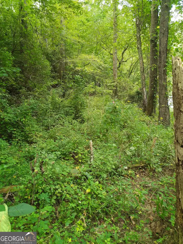 00 Marie #LOT 1800, Talking Rock, GA 30175