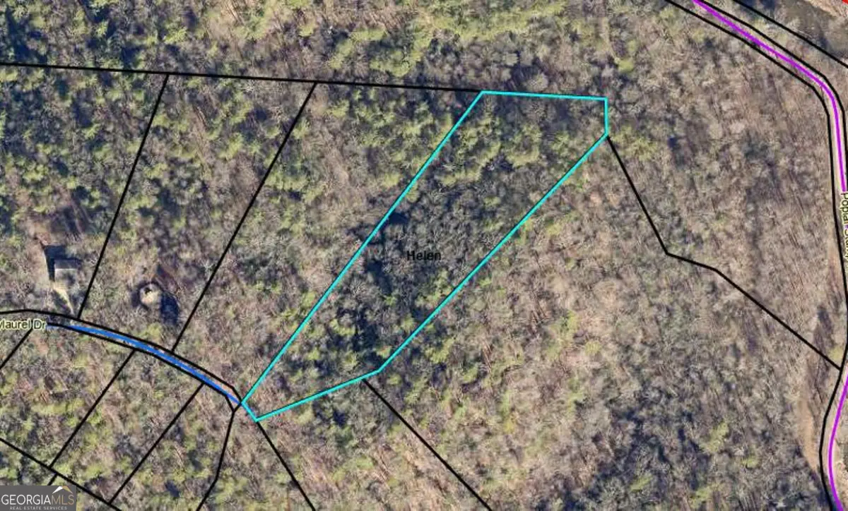 0 Baylaurel Drive, Helen, GA 30545 - #1