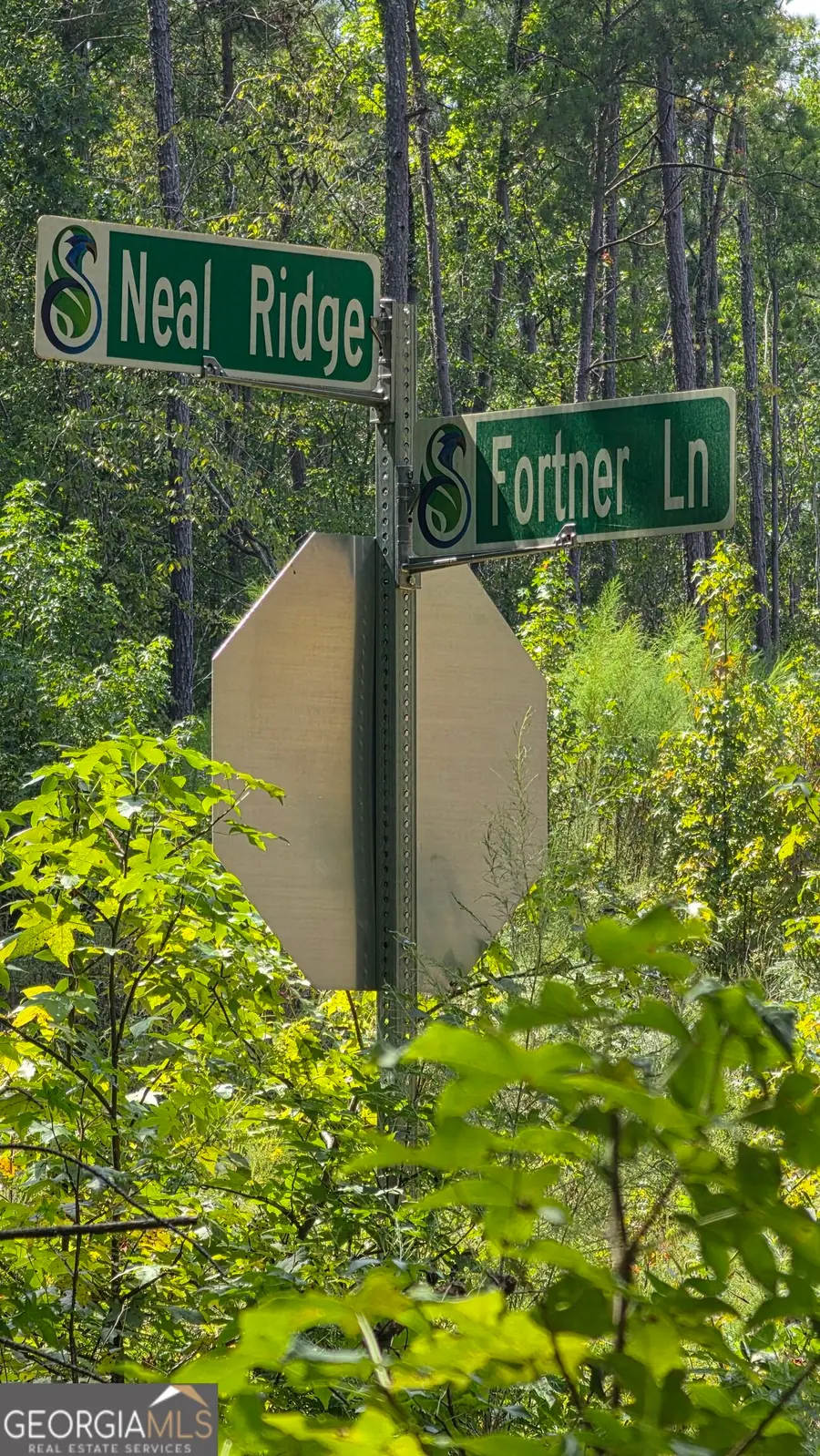 4810 Neal Ridge, South Fulton, GA 30349 - #2
