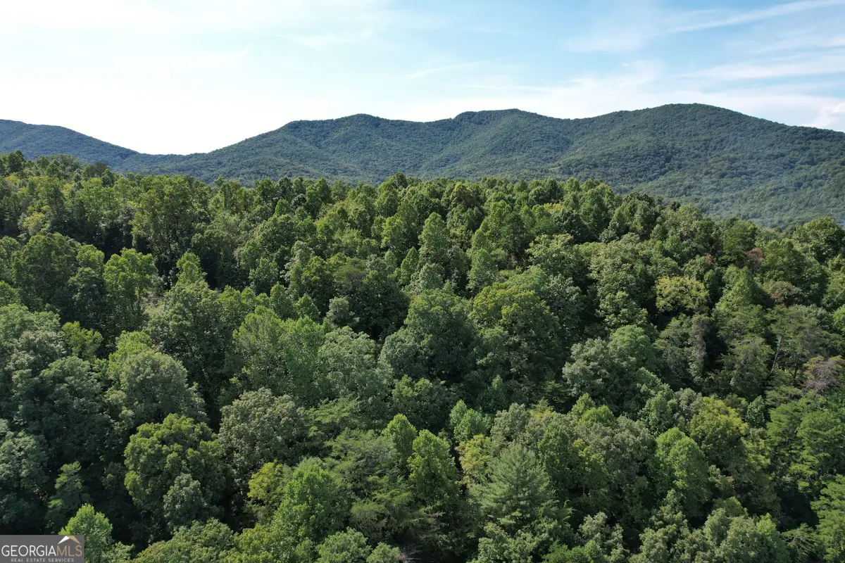 573 Sunnyside Road, Hiawassee, GA 30546 - #1