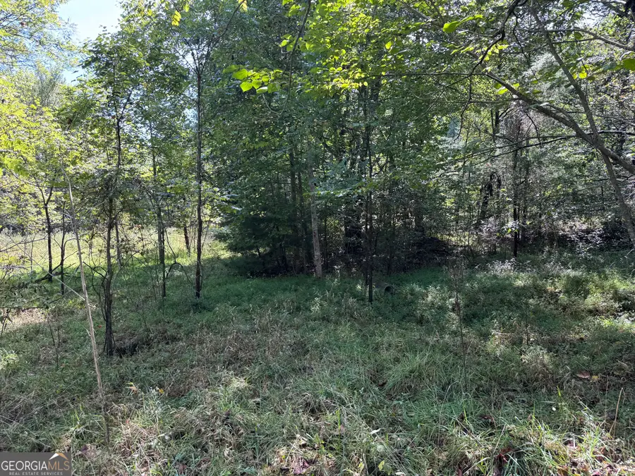 573 Sunnyside Road, Hiawassee, GA 30546 - #3