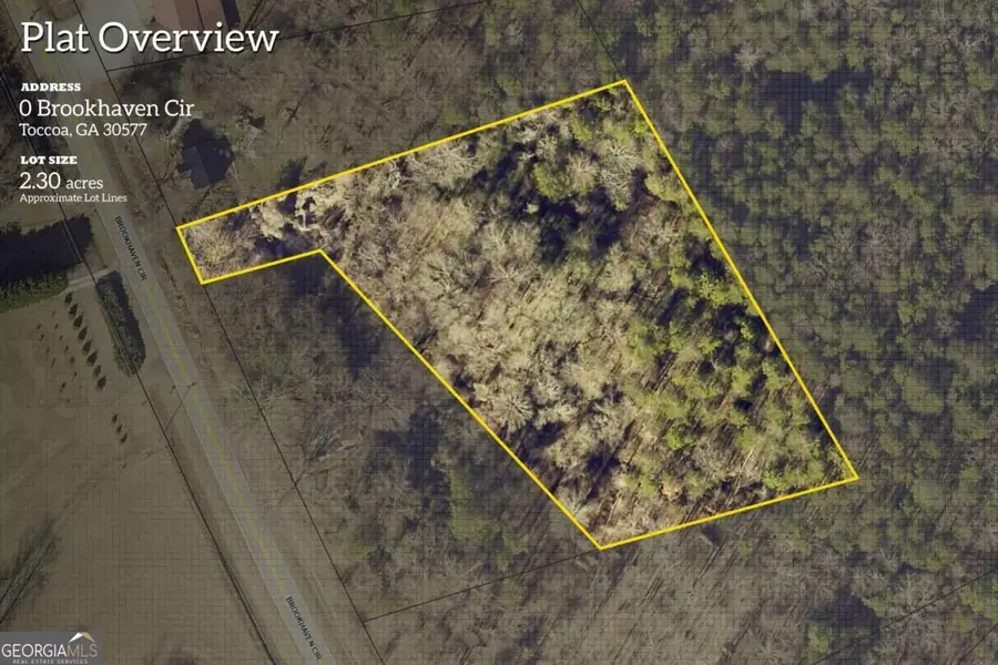 0 Brookhaven Circle, Toccoa, GA 30577 - #2