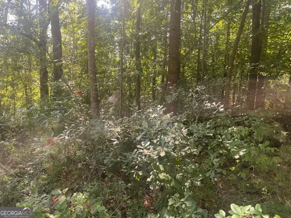 161 Apache Trail, Martin, GA 30557