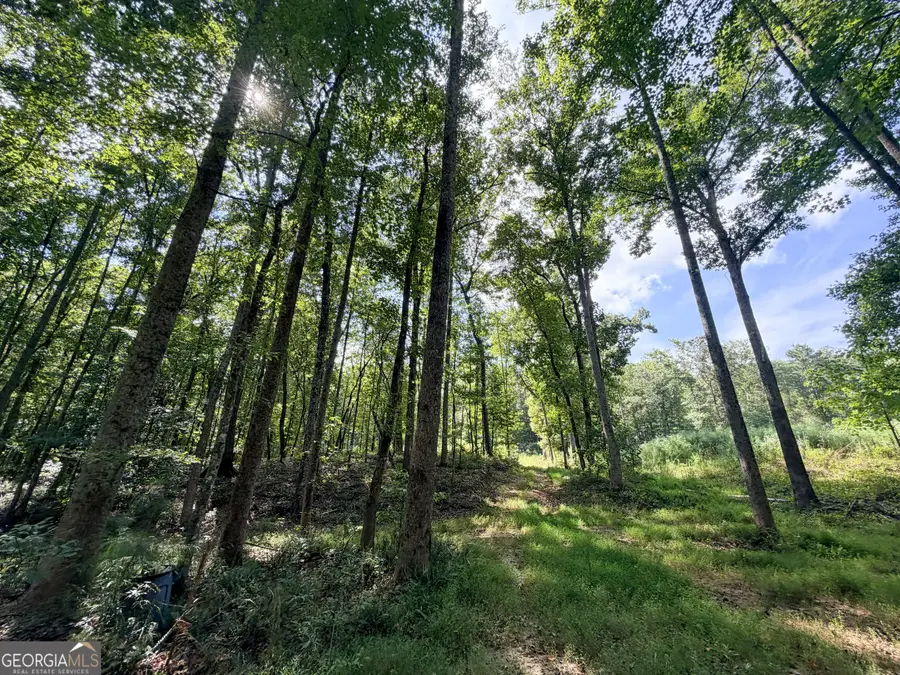 1620 Cross Plains Hulett Road, Carrollton, GA 30116 - #2