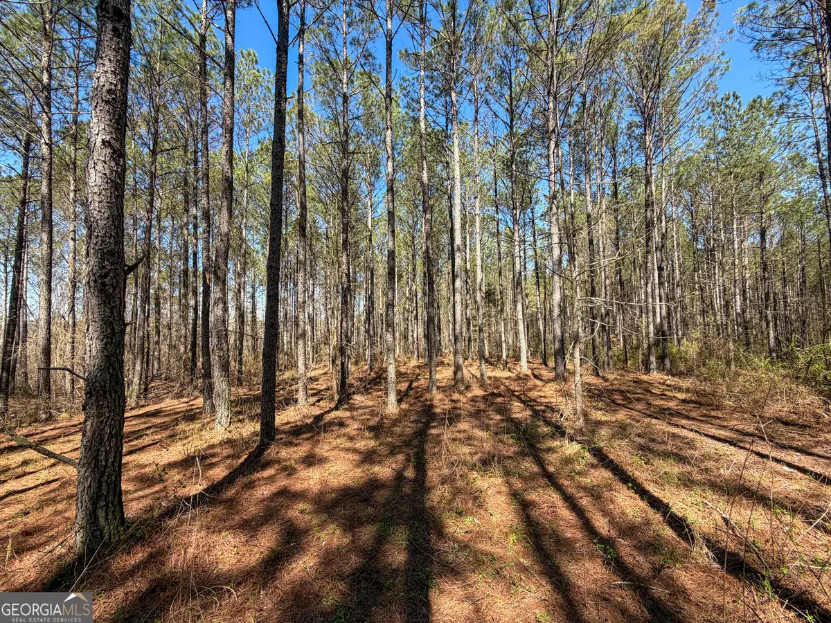 24 +/- Acres On Ga Hwy 34 - Tract 1, Franklin, GA 30217 - #1