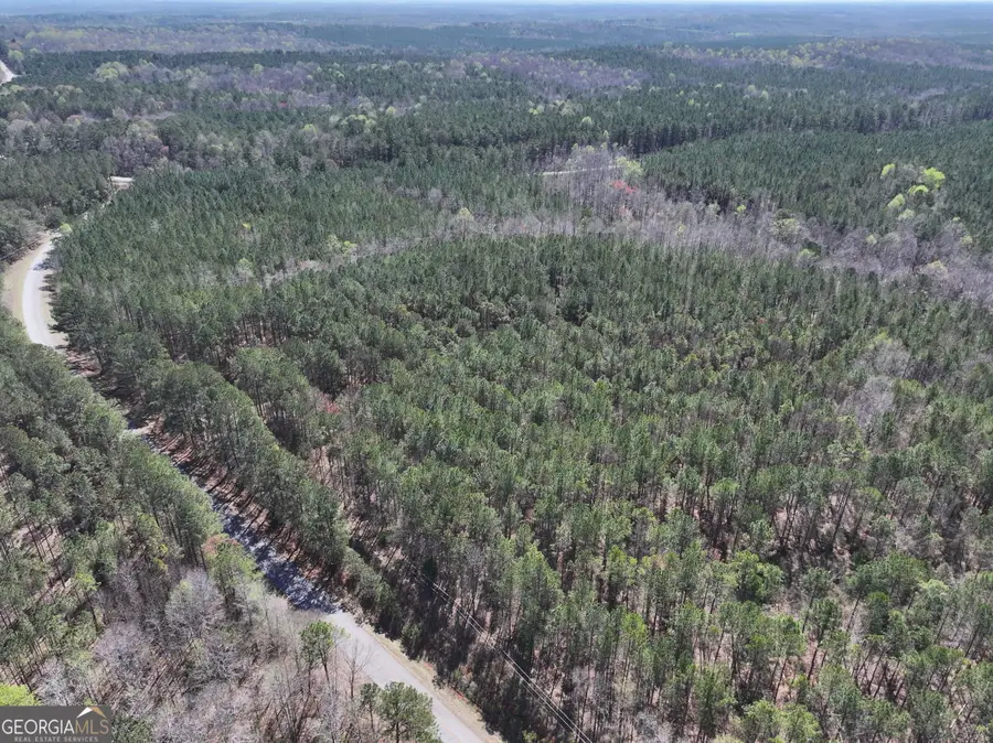 24 +/- Acres On Ga Hwy 34 - Tract 1, Franklin, GA 30217 - #3