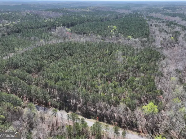 24 +/- Acres On Ga Hwy 34 - Tract 2, Franklin, GA 30217