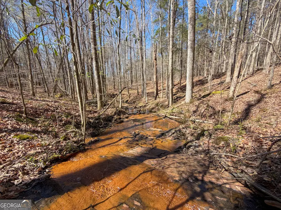 24 +/- Acres On Ga Hwy 34 - Tract 2, Franklin, GA 30217 - #3