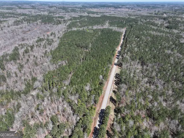 25 +/- Acres On Ga Hwy 34 - Tract 3, Franklin, GA 30217