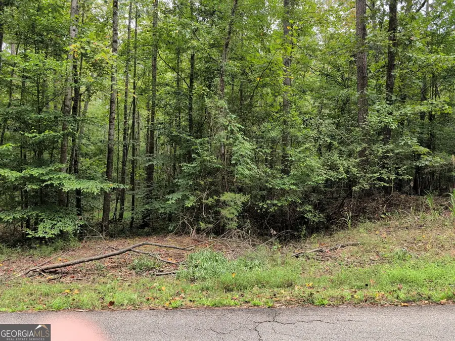 194 Tahoe Trail, Martin, GA 30557 - #2