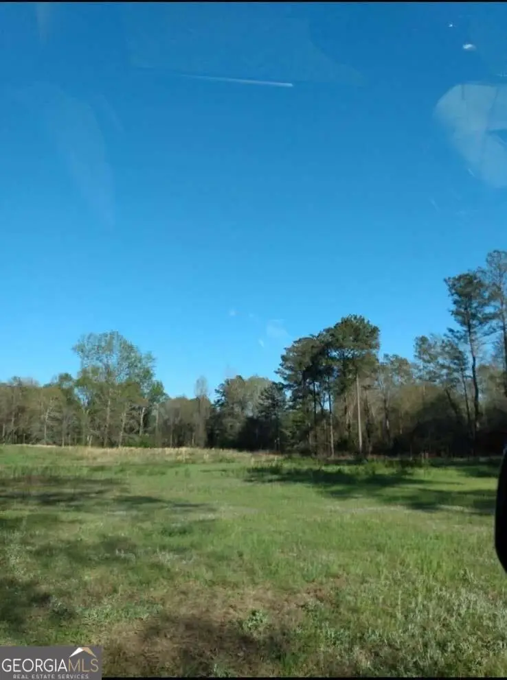 0 Zenith Mill Road, Roberta, GA 31078 - #1