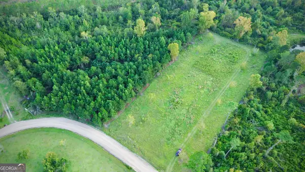 0 Sunflower Lane, Hazlehurst, GA 31539