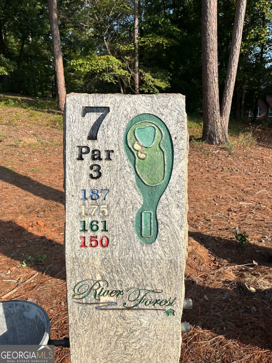 205 River Overlook, Forsyth, GA 31029 - #3