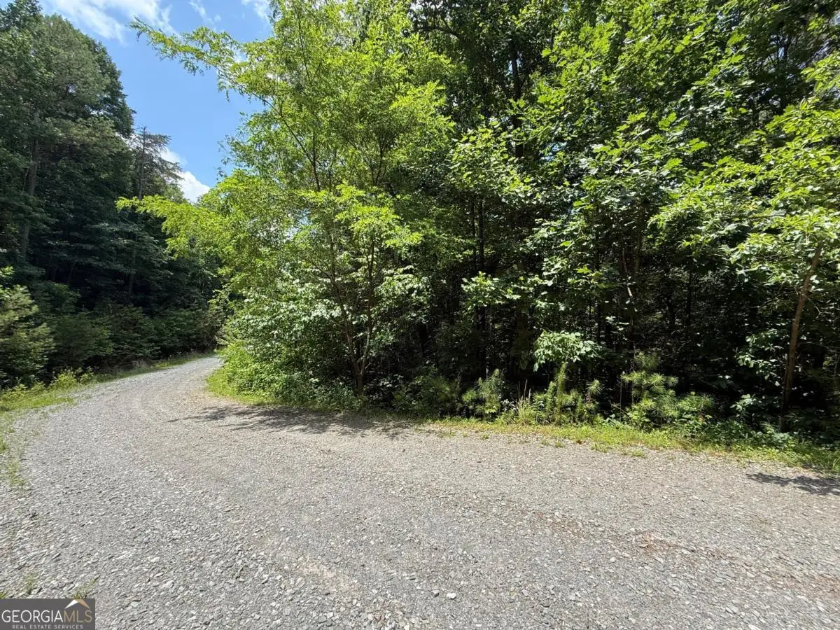 LOT E9 Reece Mountain Road, Ellijay, GA 30536 - #1