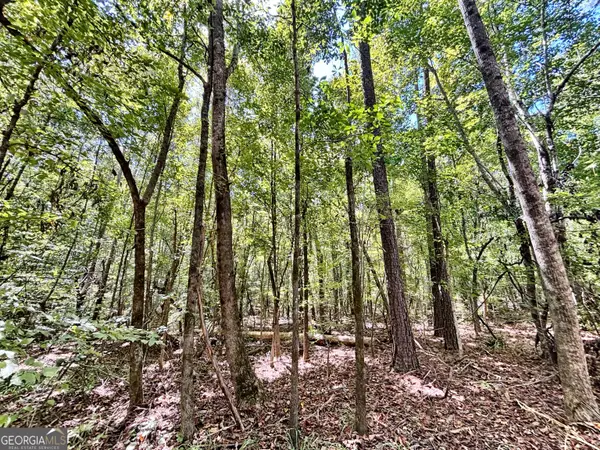 0 Columbus Road, Lizella, GA 31052