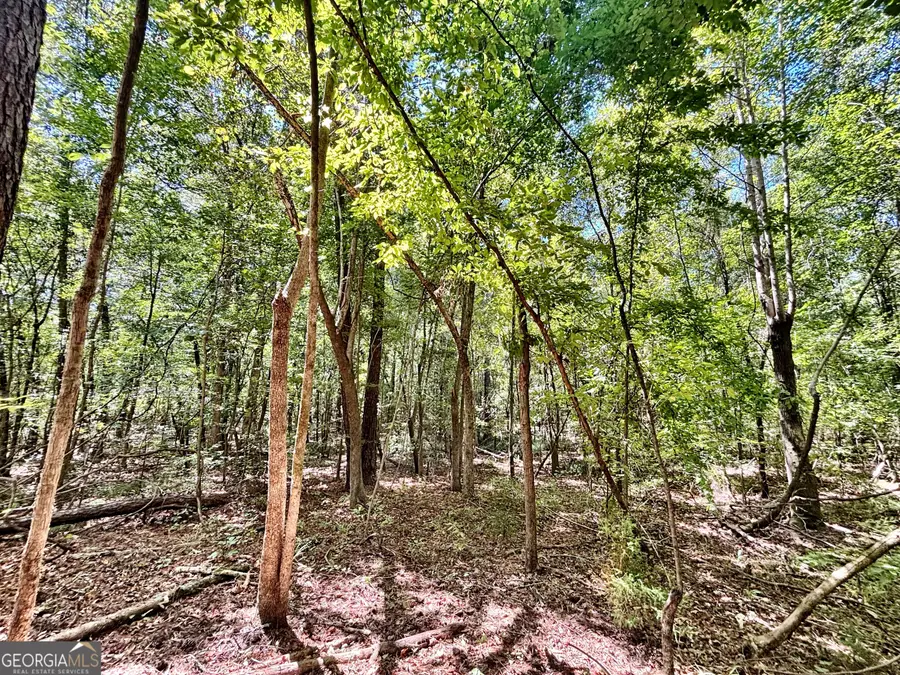 0 Columbus Road, Lizella, GA 31052 - #2