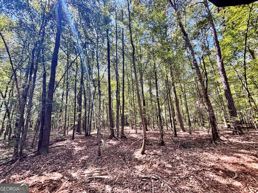 0 Columbus Road, Lizella, GA 31052 - #3