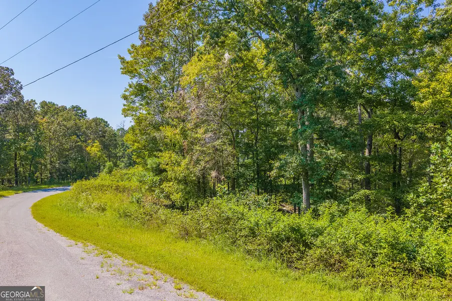 LOT 31 Freestone Street, Talking Rock, GA 30175 - #2