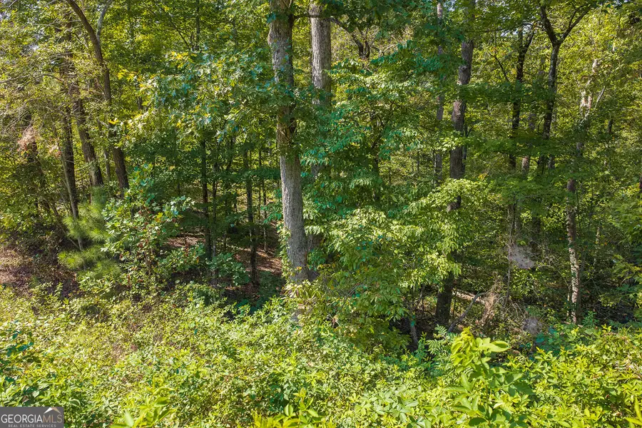 LOT 31 Freestone Street, Talking Rock, GA 30175 - #3