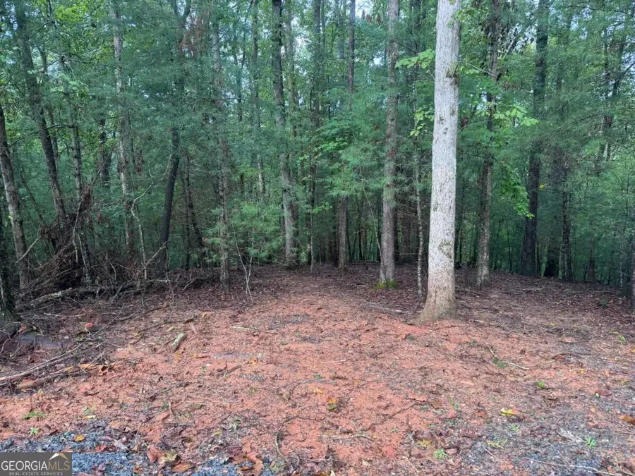 204 Hart Court, Ellijay, GA 30540 - #2