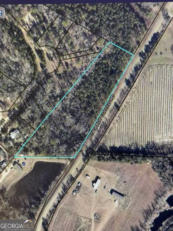 0 Ben Grady Collins Road, Portal, GA 30450