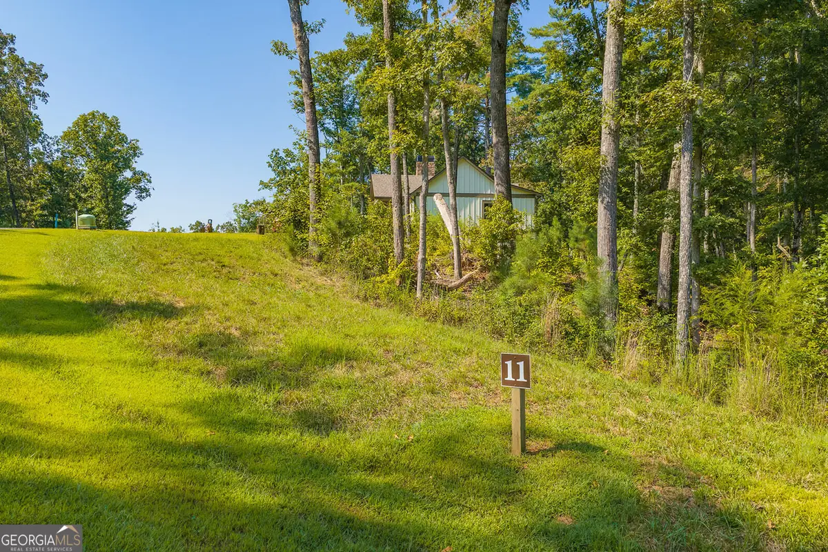 LOT 11 Lake Top Lane, Ellijay, GA 30540 - #1