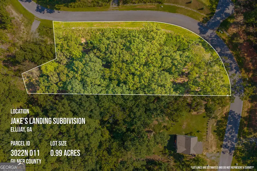 LOT 11 Lake Top Lane, Ellijay, GA 30540 - #2