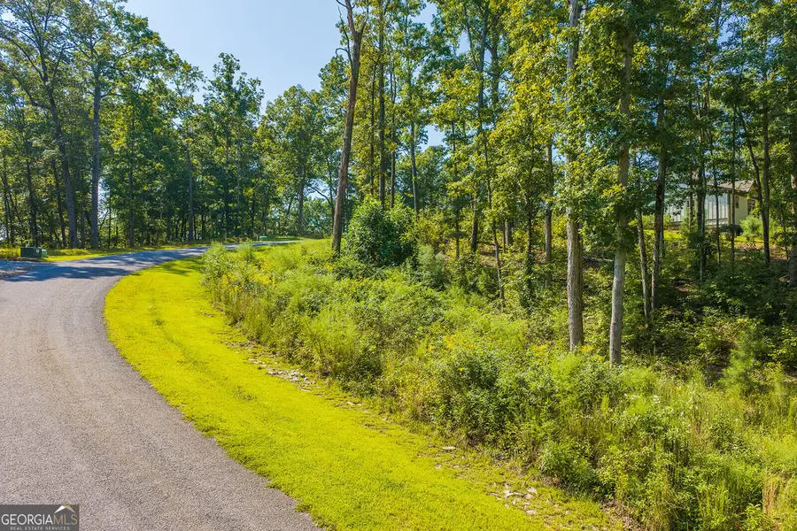 LOT 11 Lake Top Lane, Ellijay, GA 30540 - #3