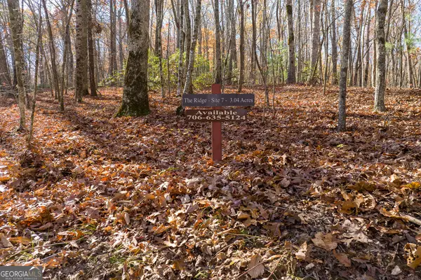 LOT 7 Joseph Anderson Trail, Ellijay, GA 30536