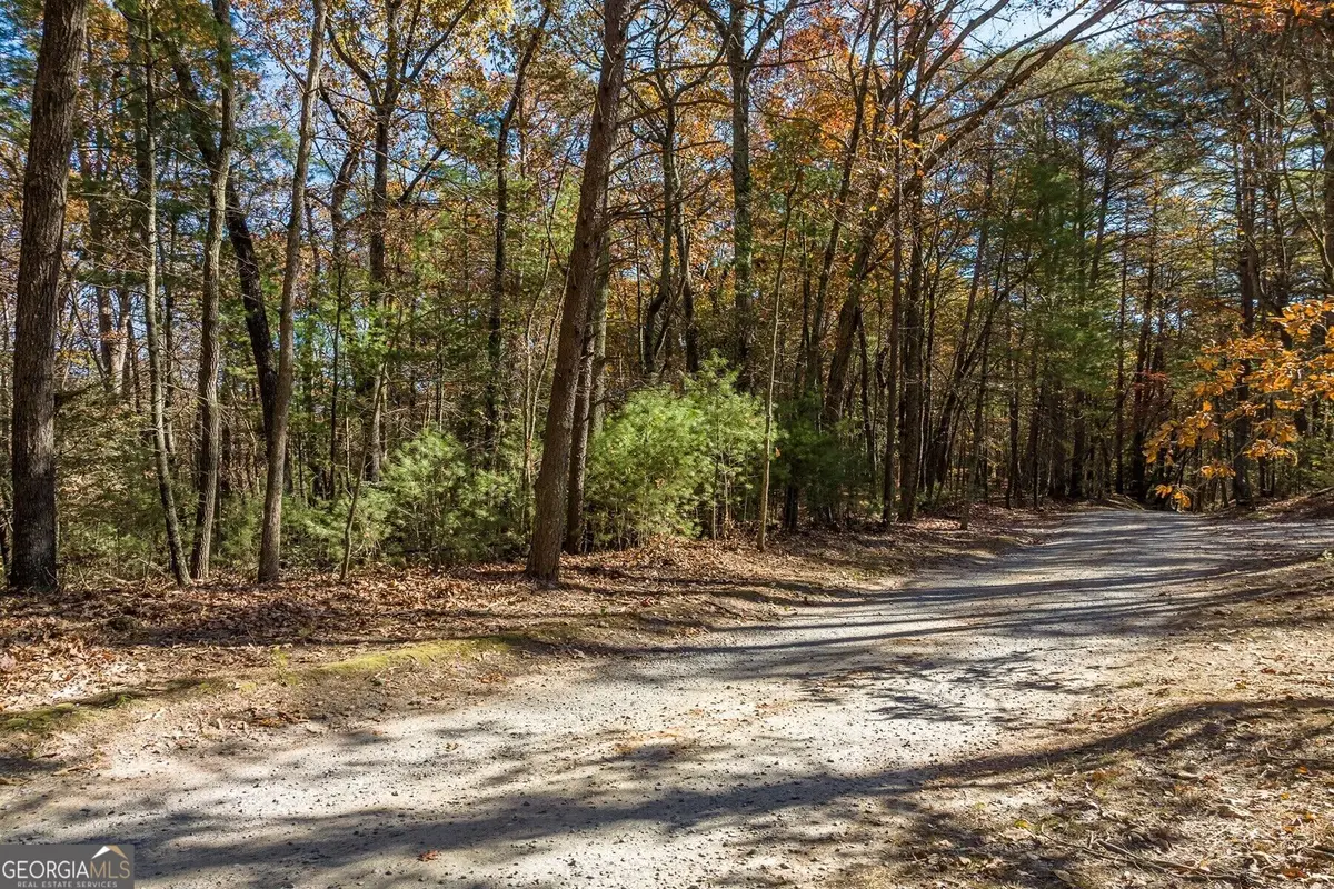 TR 2 Old Anderson Creek, Ellijay, GA 30536 - #1