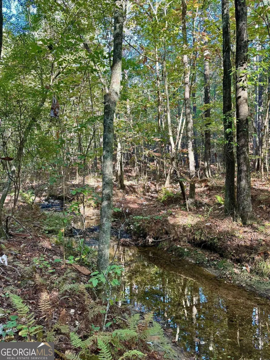#17 Lone Bear Path, Dallas, GA 30132 - #3