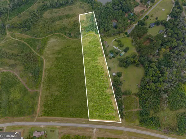 0 G W Oliver Rd #LOT 3, Statesboro, GA 30458