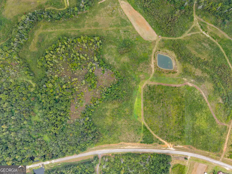 0 G W Oliver Road #LOT 9, Statesboro, GA 30458 - #3