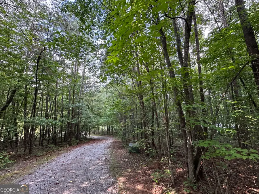 368 Harkins Road, Cleveland, GA 30528 - #3